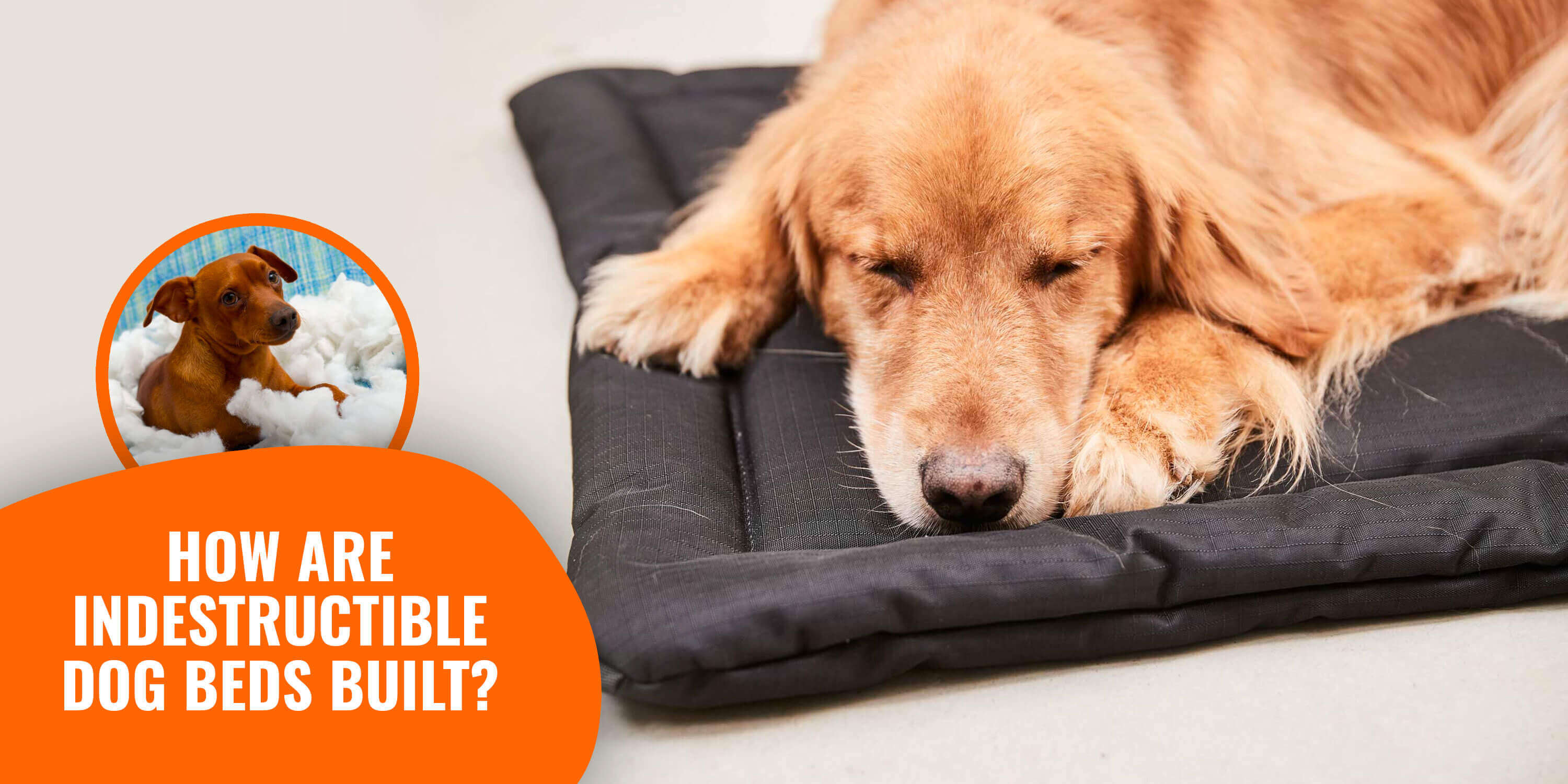 How To Make My Dog Stop Chewing His Bed