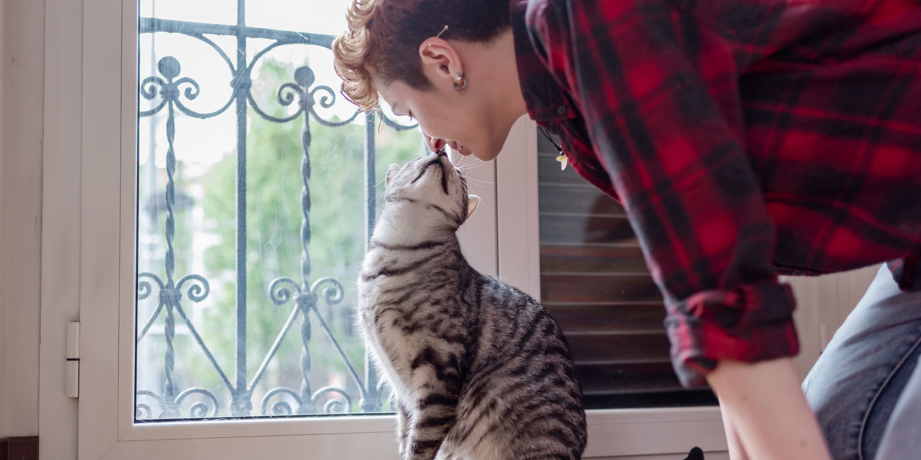How Do Cats Show Affection 13 Signs That Your Cat Loves You!