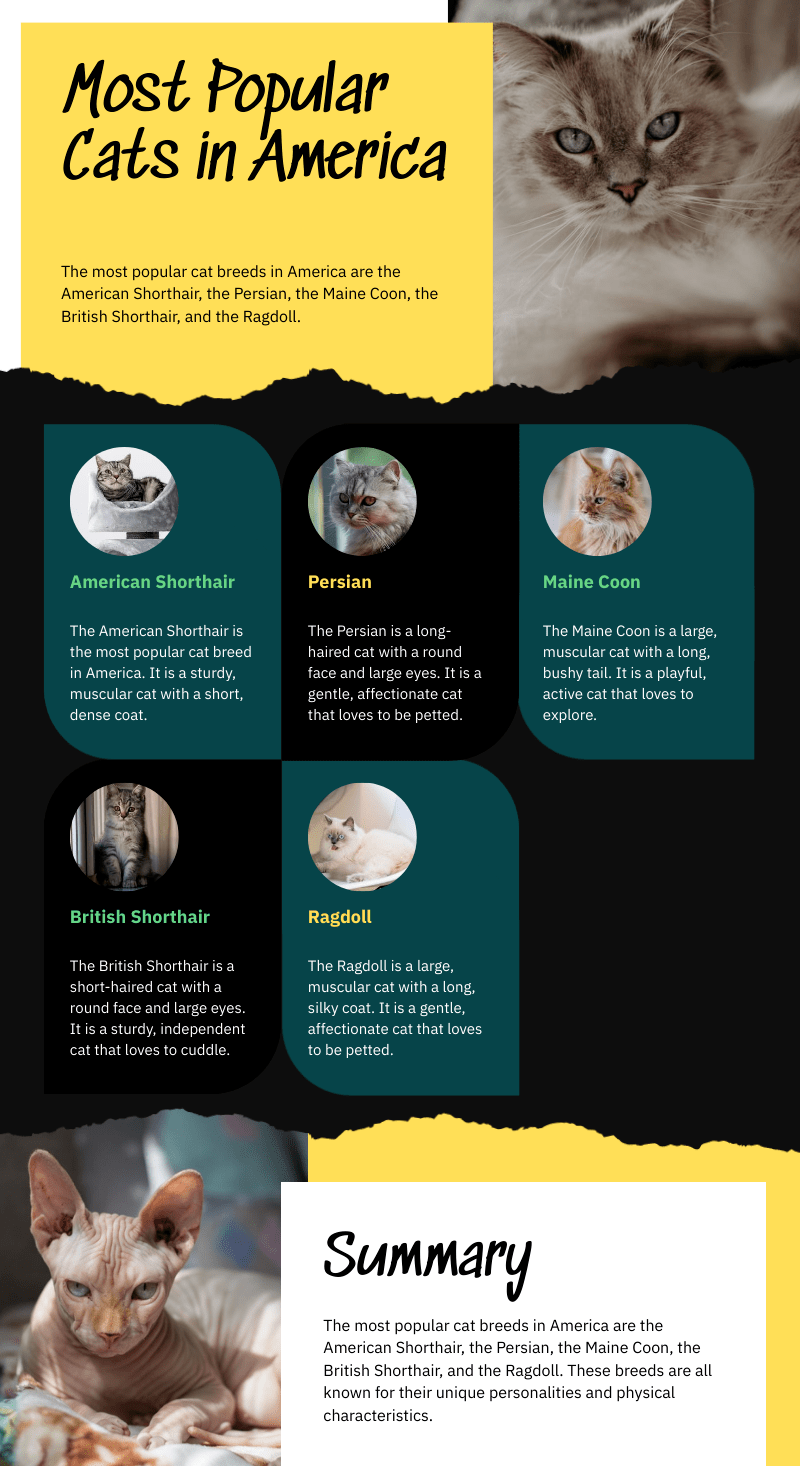 Most popular cats in America Know the Reasons for Popularity Breeds