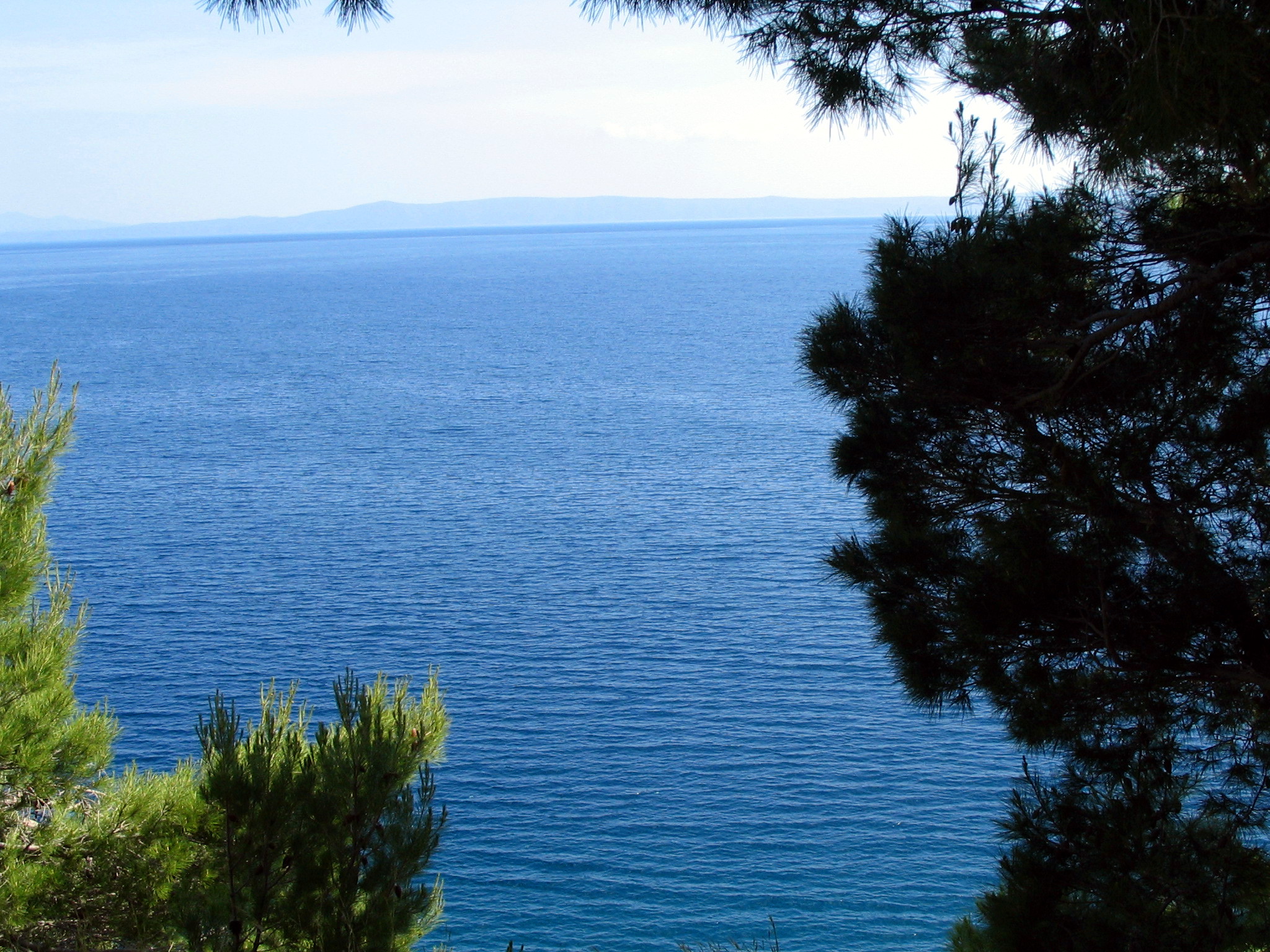 Picture_031 Apartments Natalia Brela