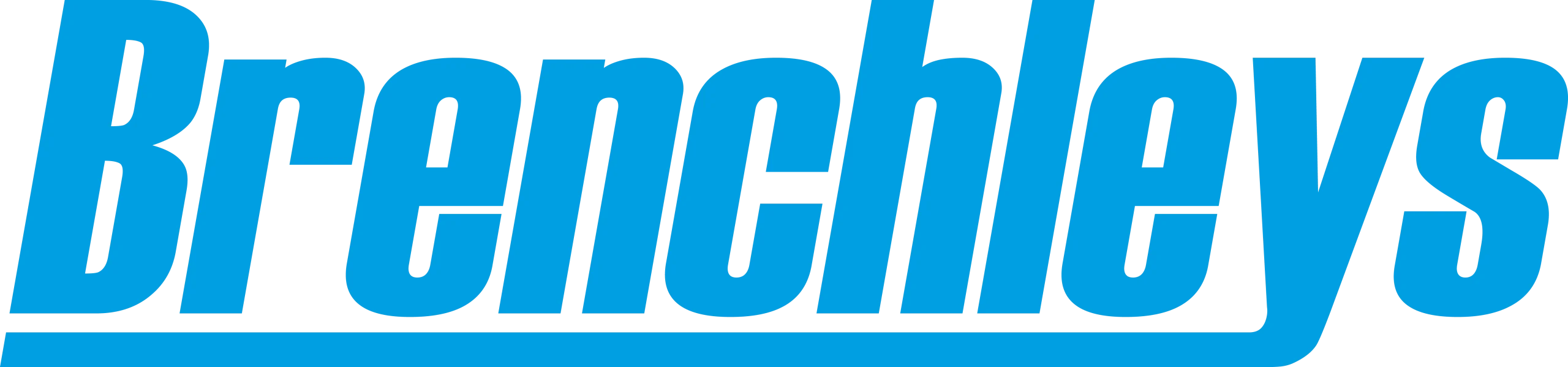 SSB4620 Stainless Steel Serving Bucket 46x20x7cm Brenchleys