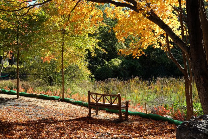 Walk, Run or Rest in Beautiful Allandale Woods Brenda After Sixty