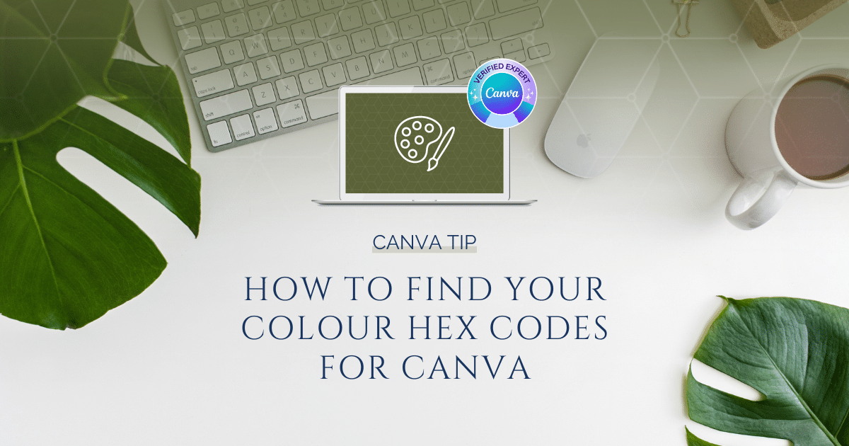 How to Find Your Colour Hex Codes for Canva Brenda Cadman Canva