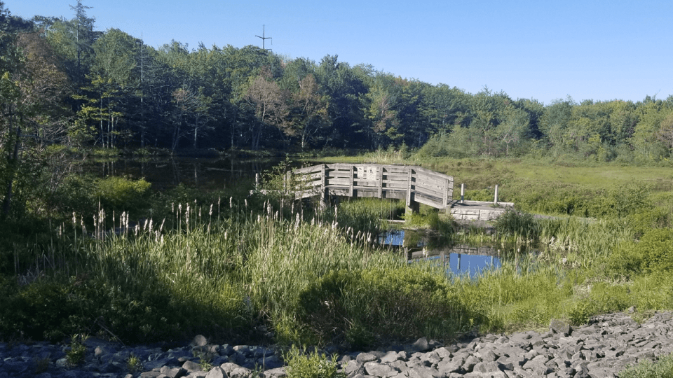 Clayton Park & Rockingham Nova Scotia Brenda K