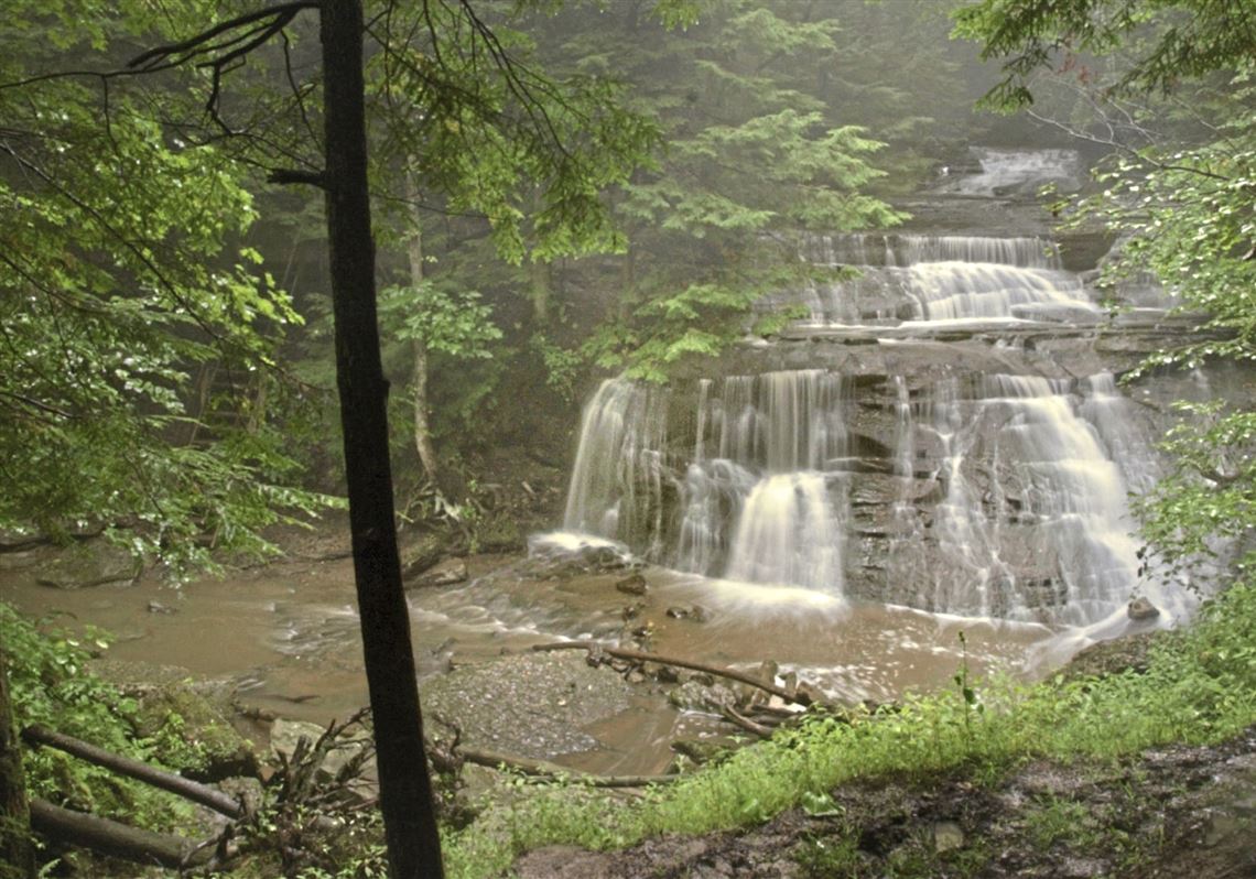 5 of Western Pennsylvania’s Most Beautiful Hiking Trails Brendan Wetzel