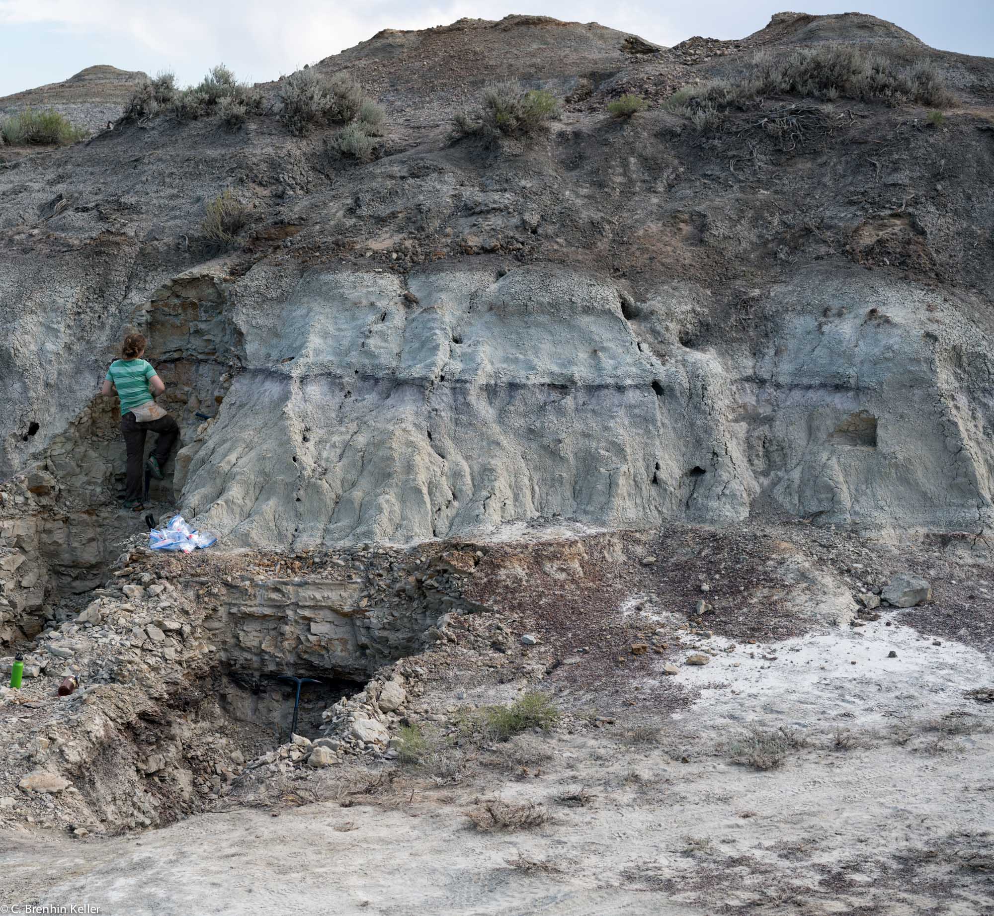 Hell Creek, Montana CBK