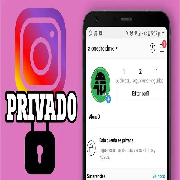 Ver Instagram privado guía fácil y rápida 2024 brenp