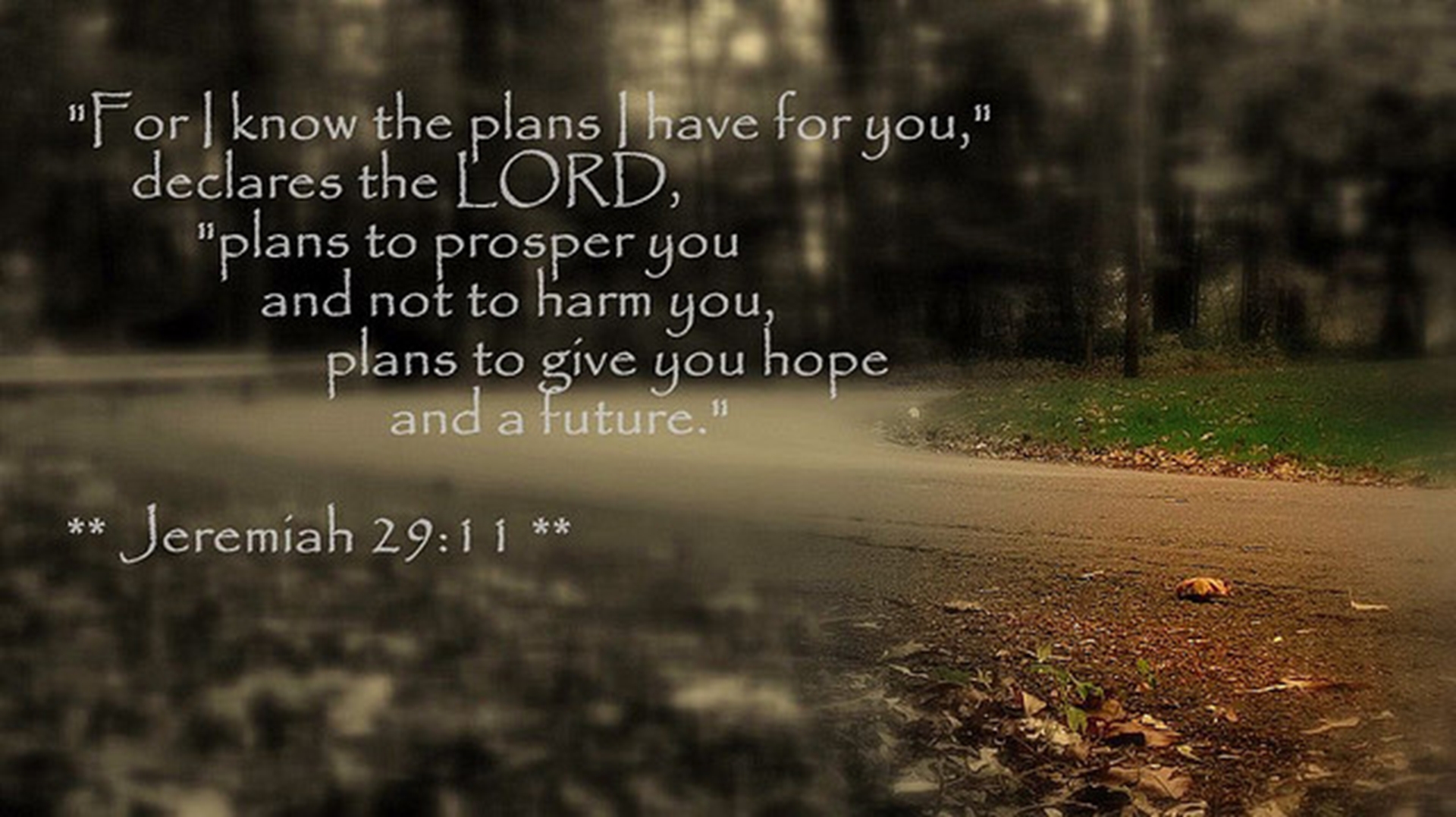 My God, My God, and other fun Psalms to cheer you up. Brett Fish