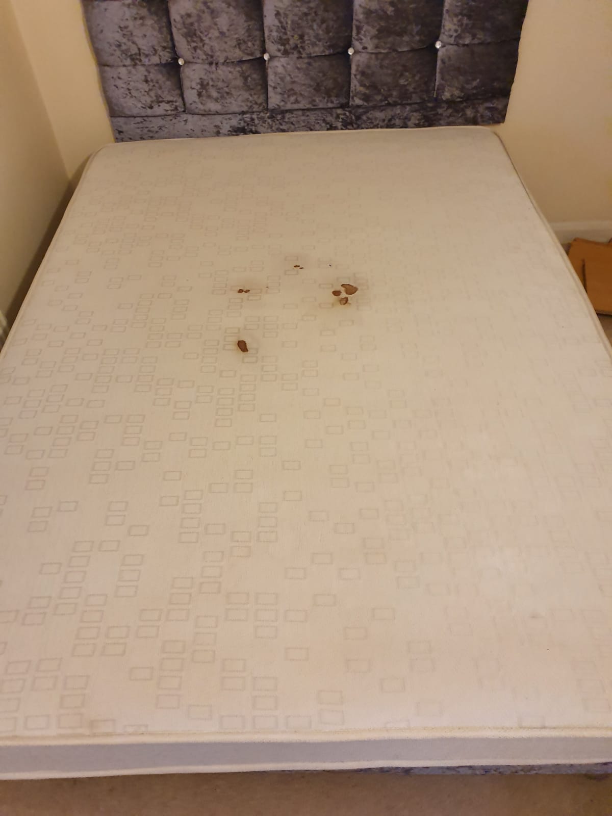 Carpet & Upholstery Cleaning Nottingham Brett's Cleaning Services