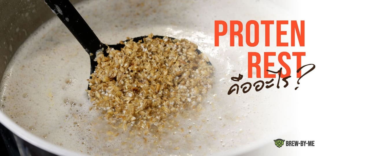 ไขข้อข้องใจเรื่อง Protein Rest BrewByMe