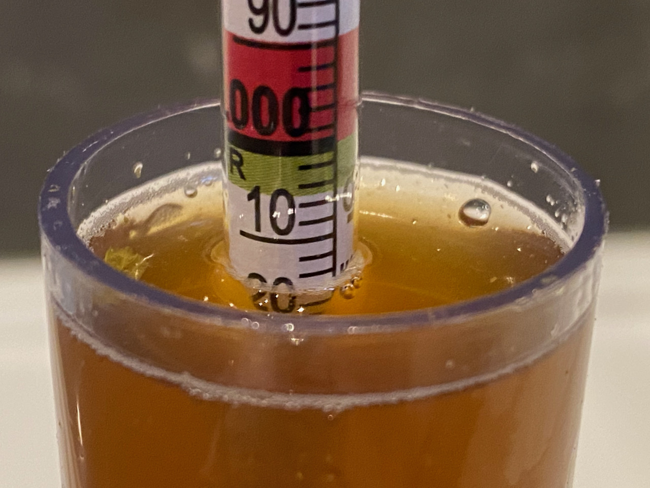 202012 Pink Grapefruit IPA Brews Pain & Patience