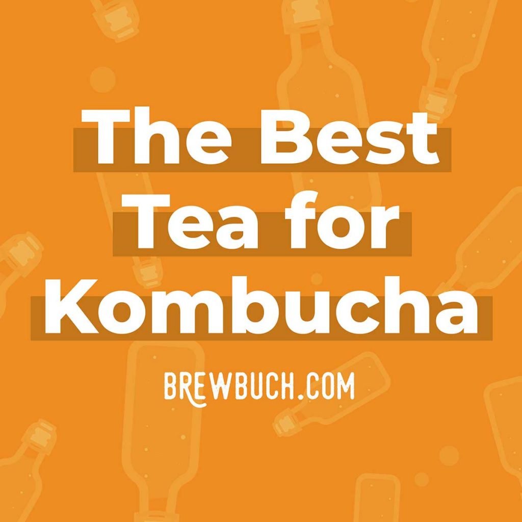 The Best Tea For Kombucha (And Which To Avoid) Brew Buch