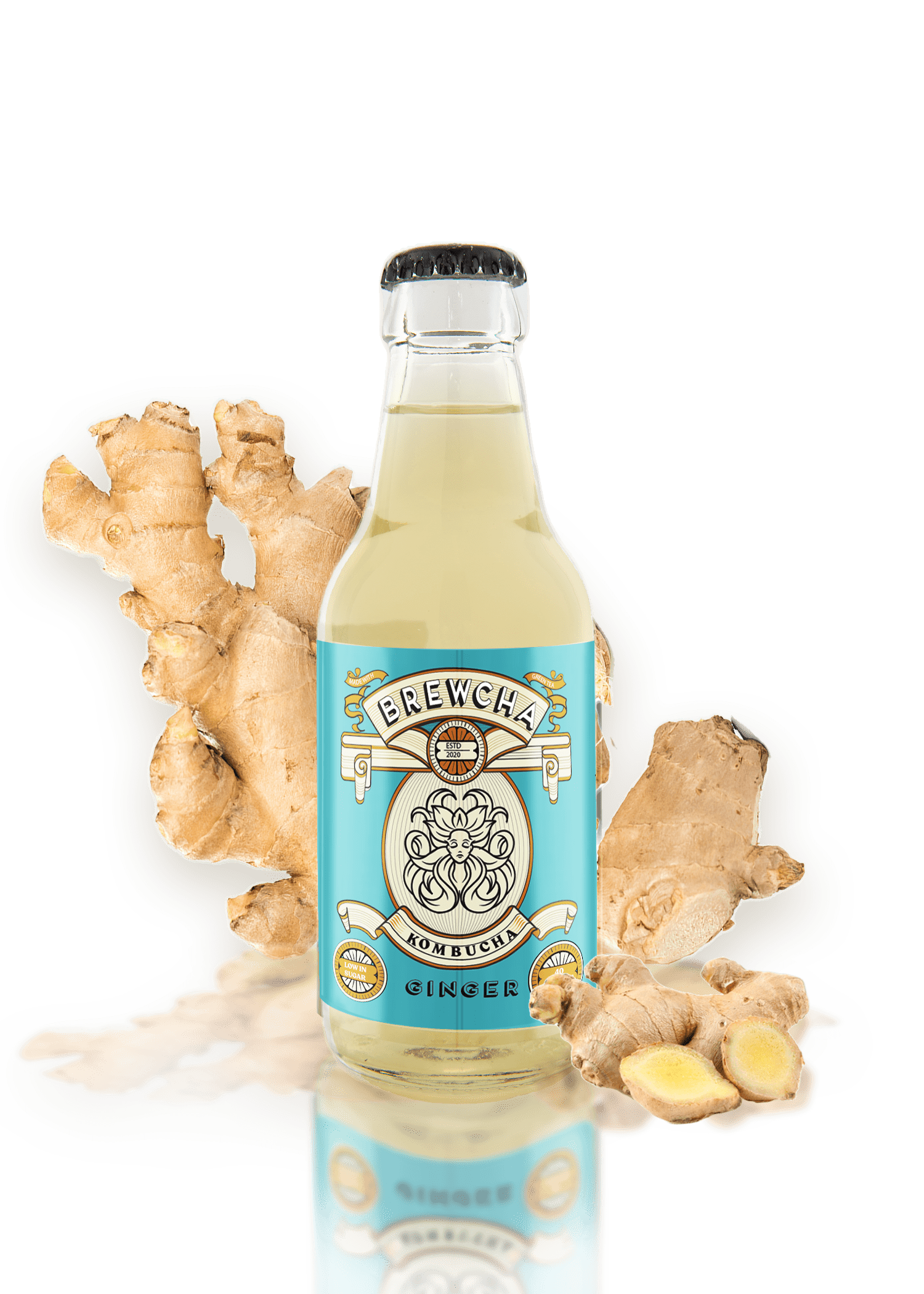 Brewcha Kombucha Brewery Bangalore