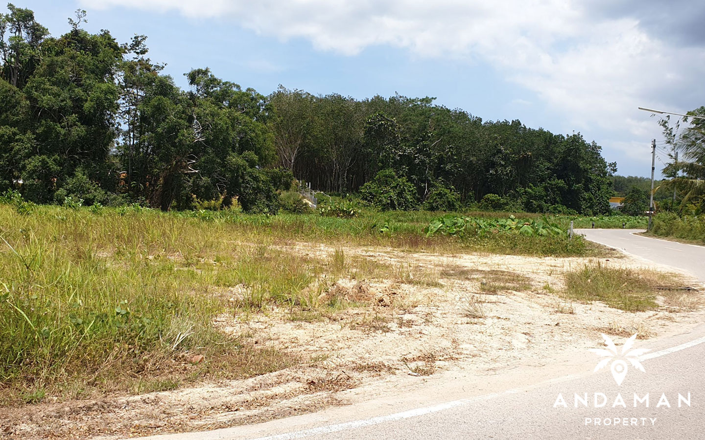 Flat Land For Sale Land for Sale Phuket