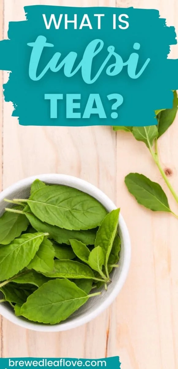 What Is Tulsi Tea? Brewed Leaf Love