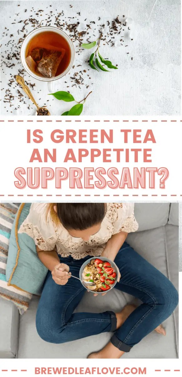 Is Tea an Appetite Suppressant? Brewed Leaf Love