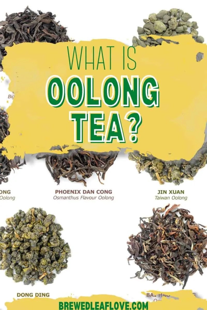 What Is Oolong Tea? Brewed Leaf Love