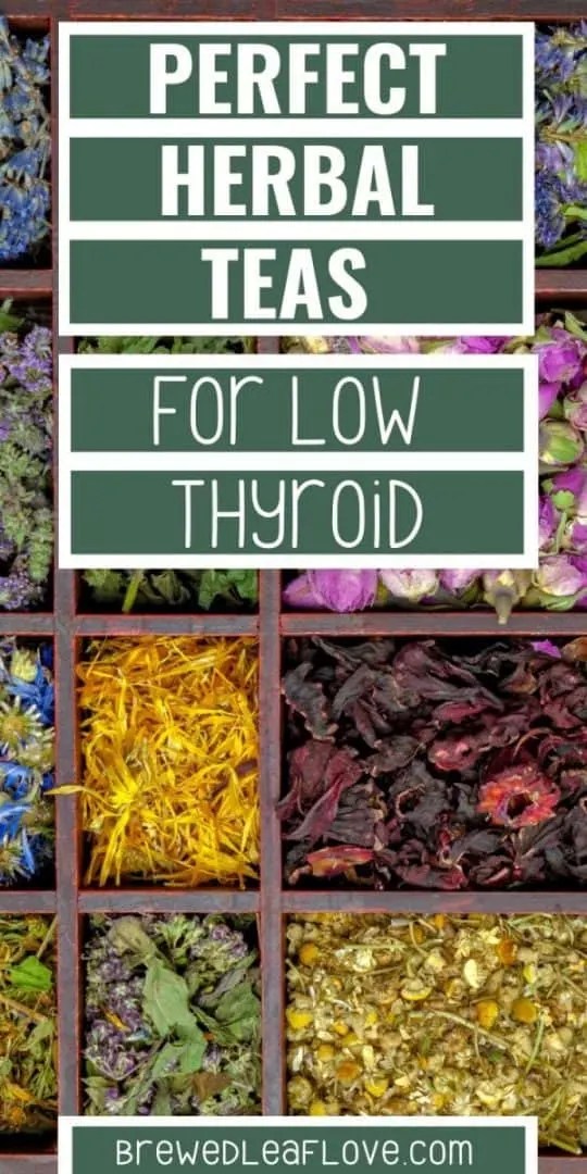 Best Herbal Teas for Thyroid Issues Brewed Leaf Love
