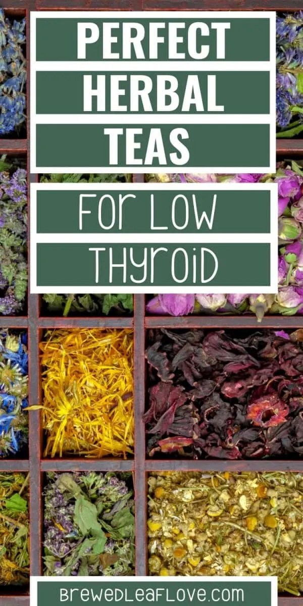 Best Herbal Teas for Thyroid Issues Brewed Leaf Love
