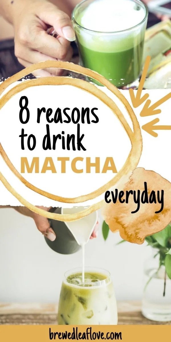 Why Drink Matcha? 8 Reasons To Enjoy It Every Day Brewed Leaf Love
