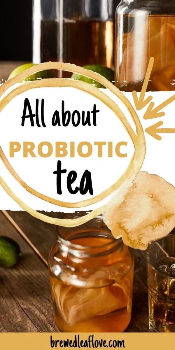 What Is Probiotic Tea? Brewed Leaf Love