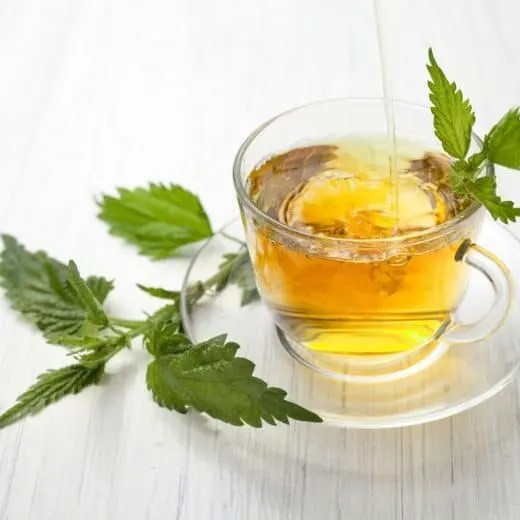What Is Nettle Tea Good For? Brewed Leaf Love