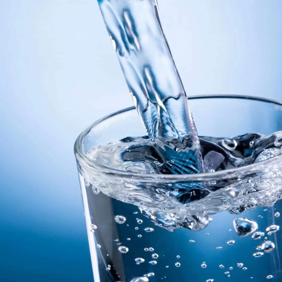 Does Tea Dehydrate You? Brewed Leaf Love