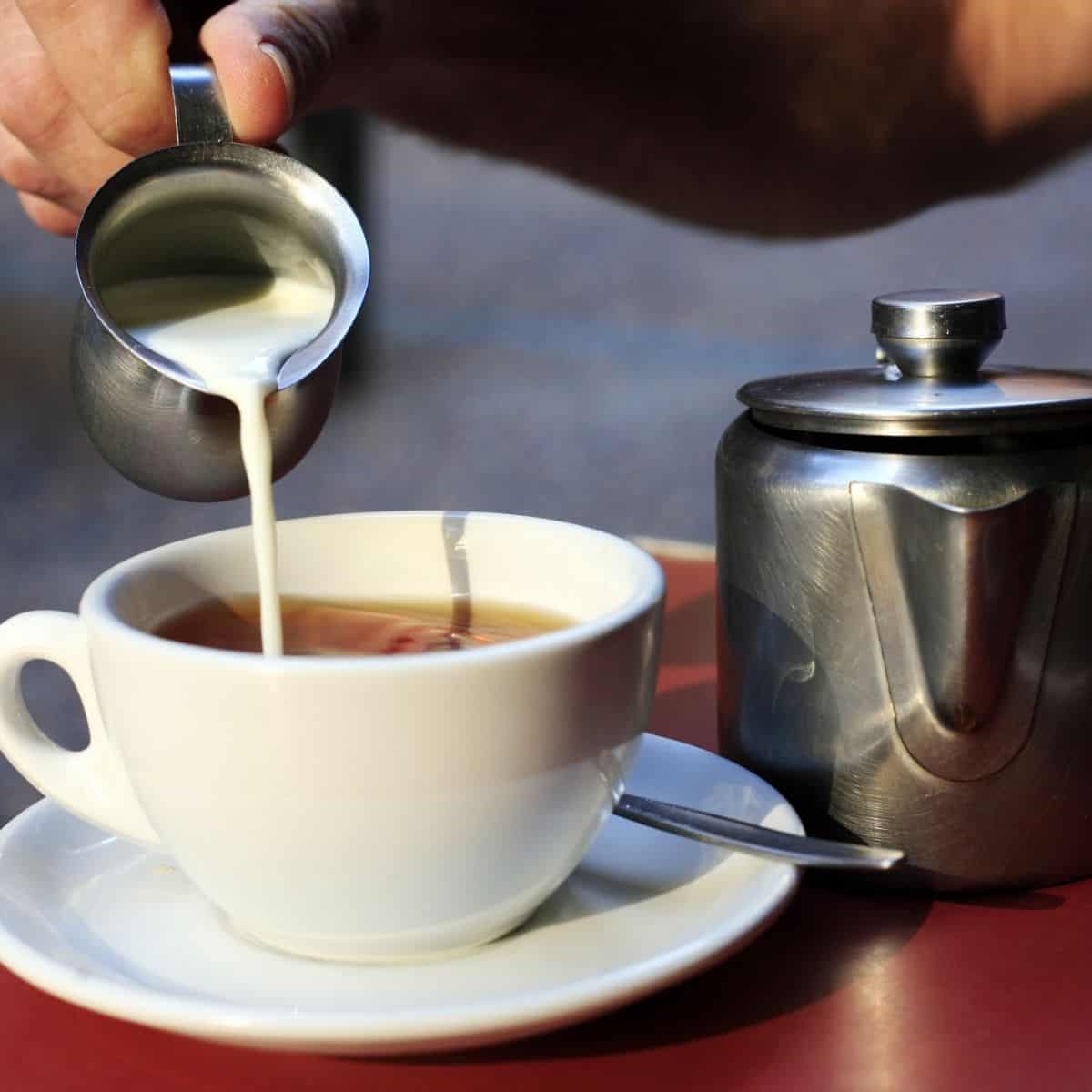 What Is Builder's Tea? Brewed Leaf Love