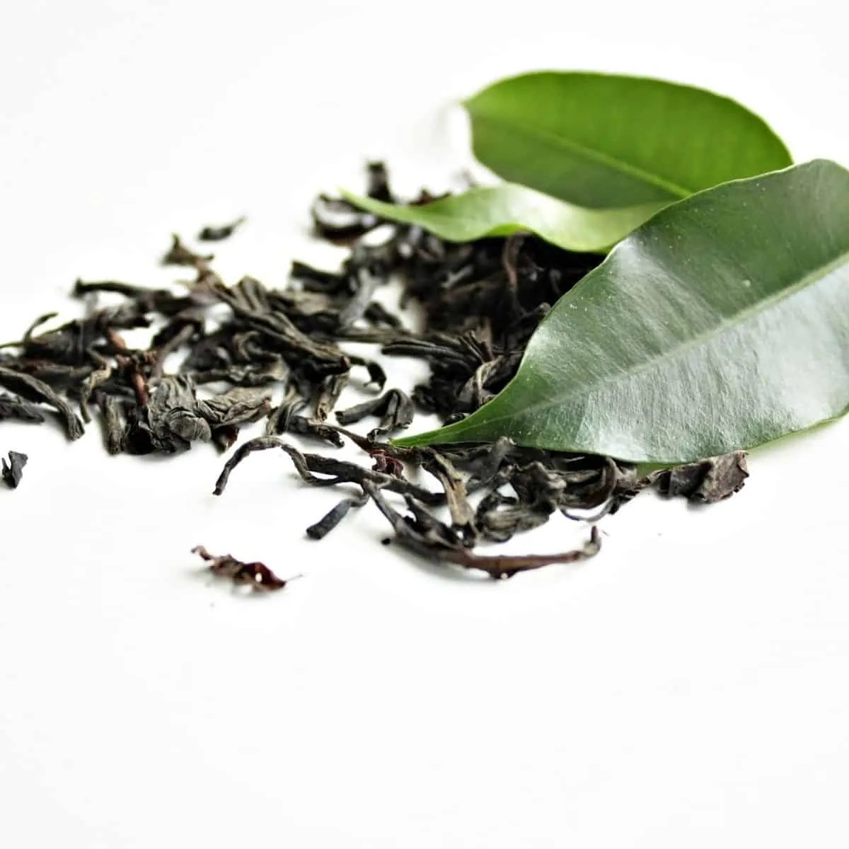 Does Tea Contain Nicotine? Brewed Leaf Love