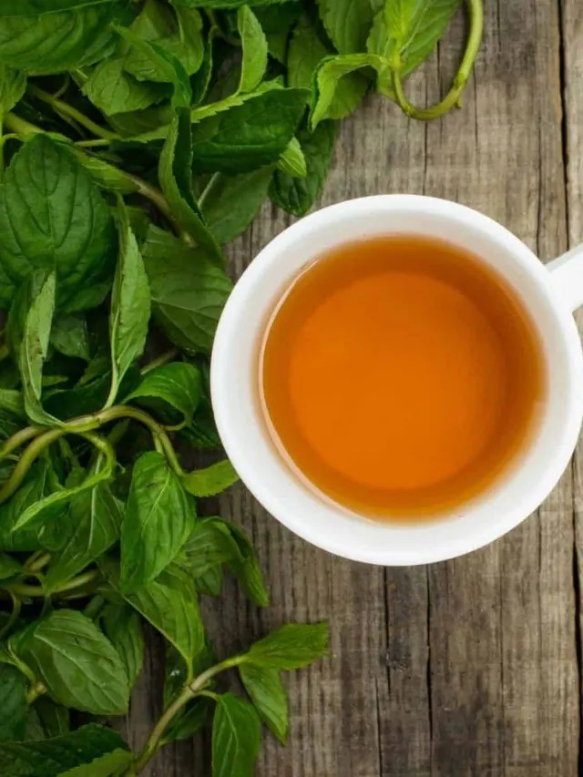 Is Peppermint Tea Good for You? Story Brewed Leaf Love