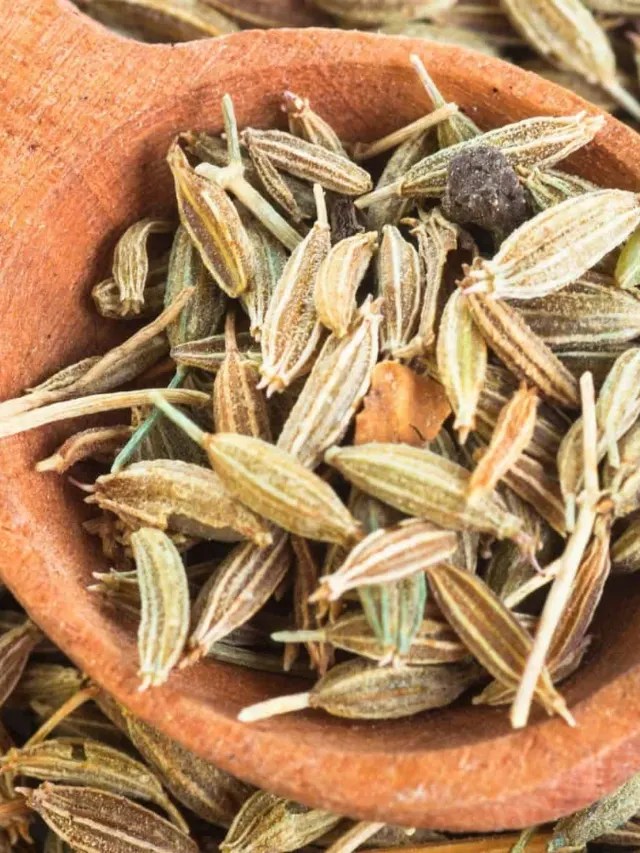 What is Fennel Tea Good For? Story Brewed Leaf Love