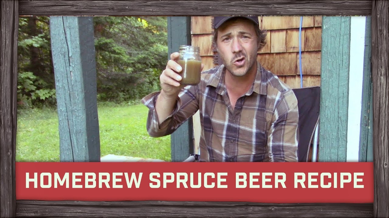 Homebrew Spruce Beer Recipe! Brewery Mania