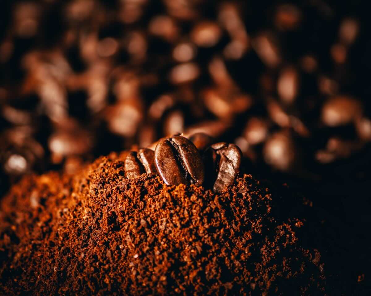 Coffee Beans Brewing Coffees