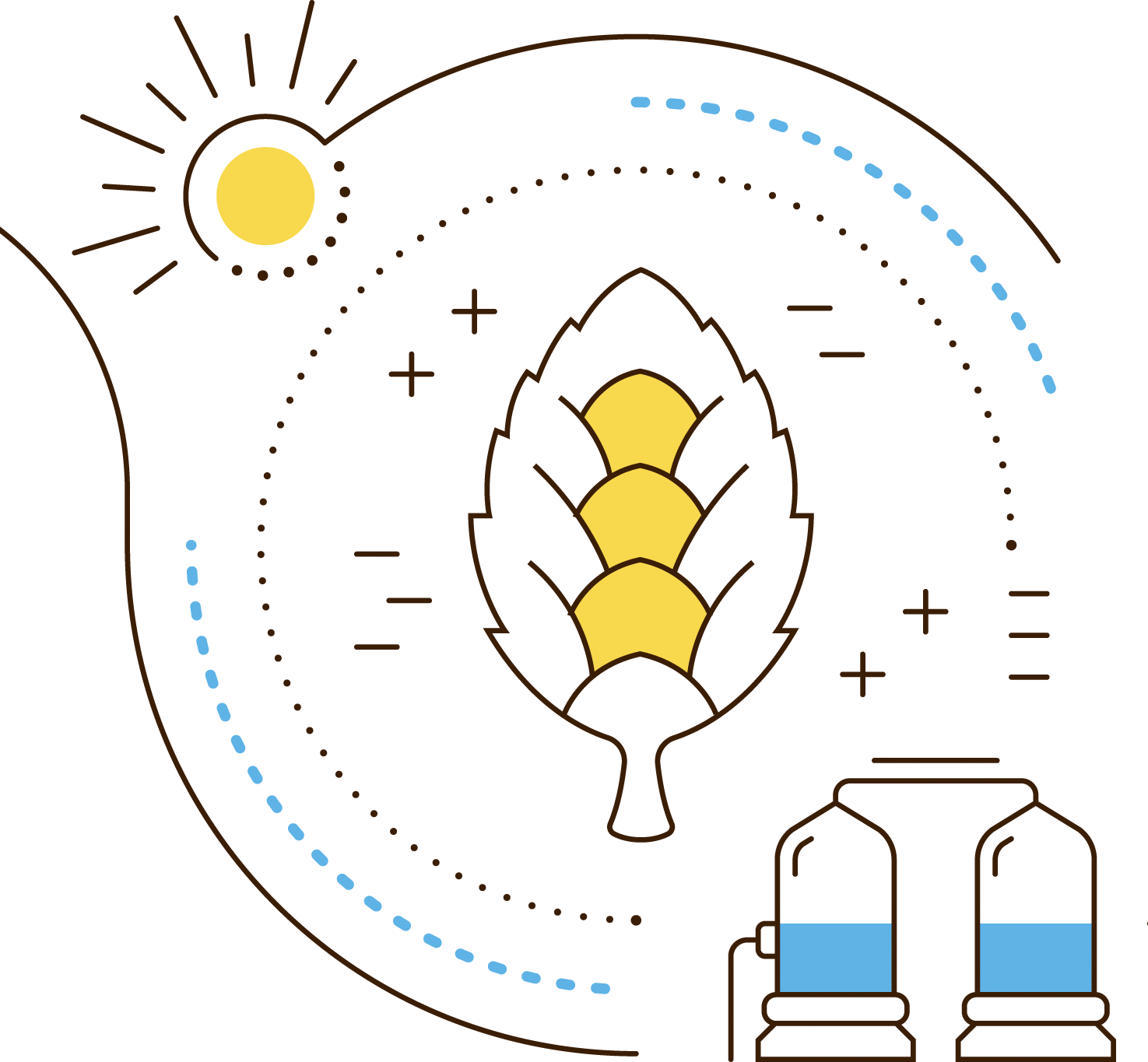 Craft Brewers Associations South Africa Members Training Brewsters