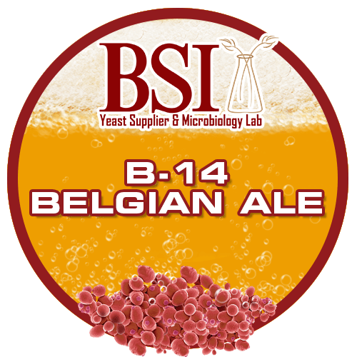 Belgian Ale Yeast B14 Belgian Ale Brewing Science
