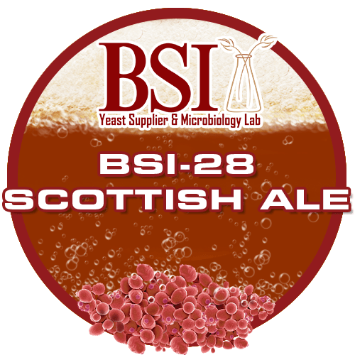 BSI28 Scottish Ale Brewing Science