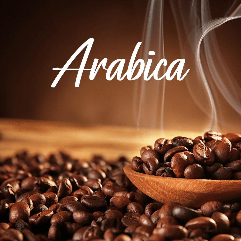 Best Arabica Coffee Beans Top Products & Guides