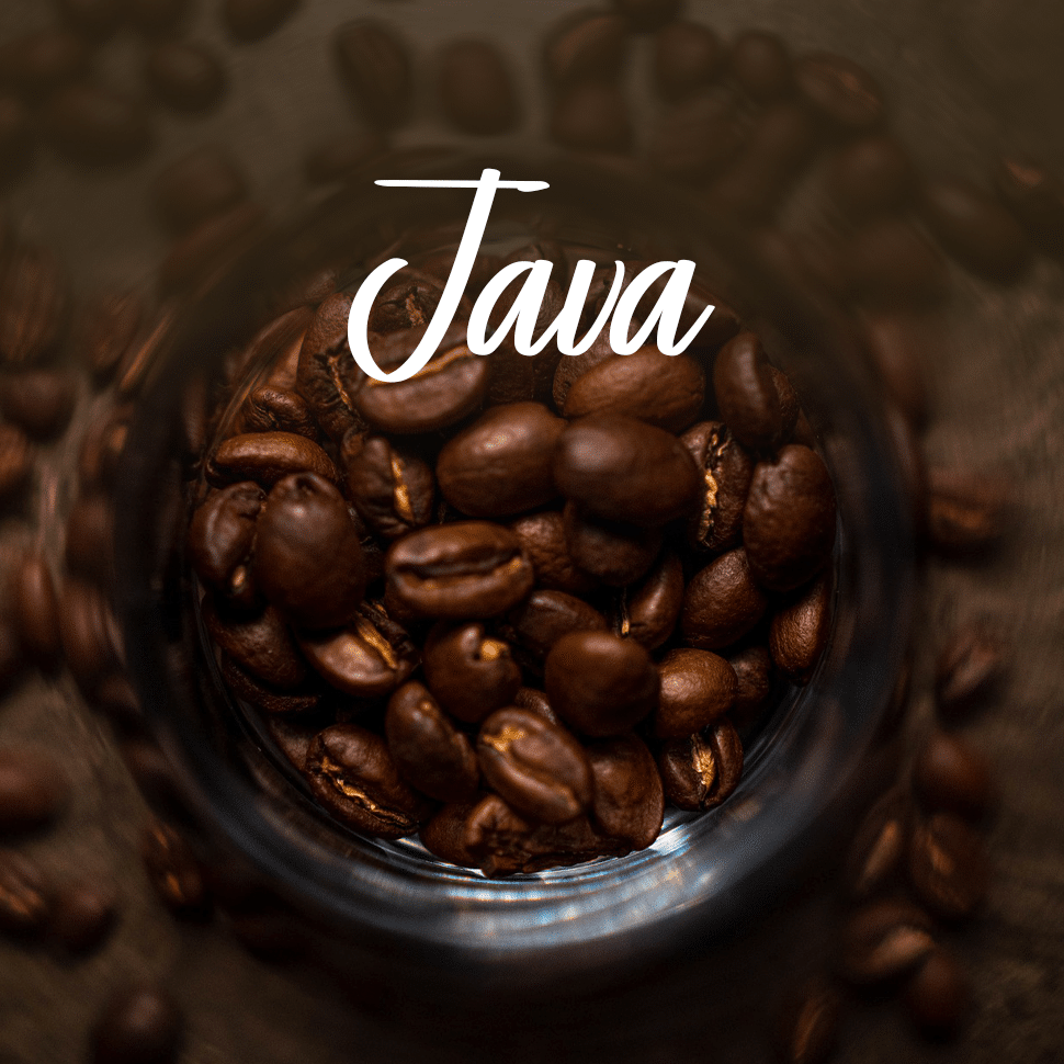 Java Coffee Beans One of The First Commercial Coffee Beans