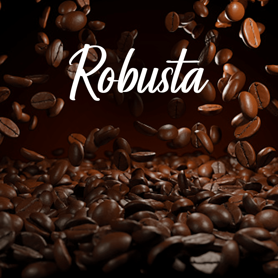 Top 5 Robusta coffee beans Are there highquality products?