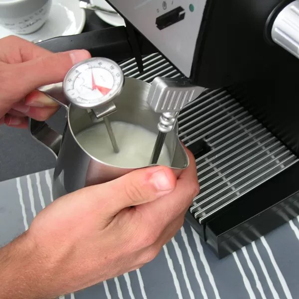 The Milk Frothing Guide