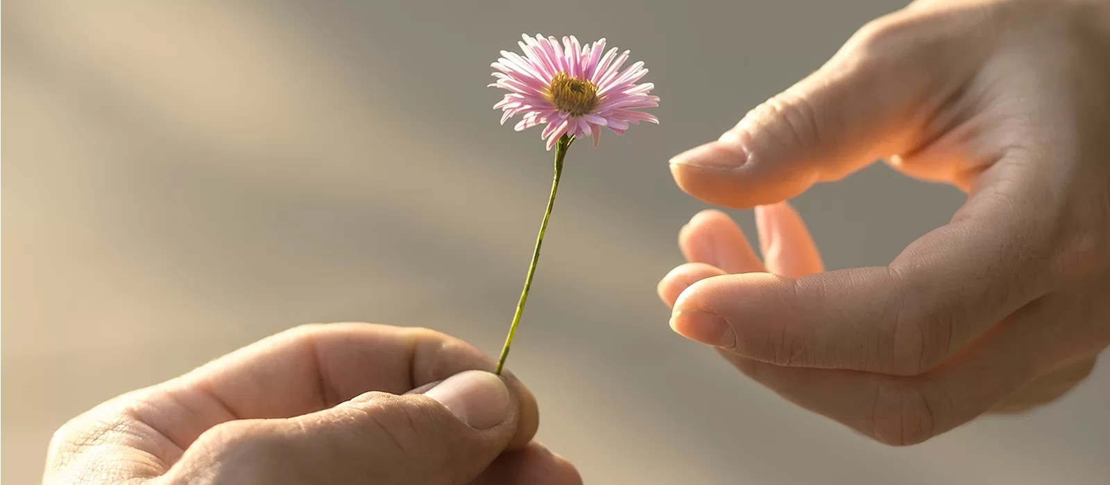 Inspirations to Generosity