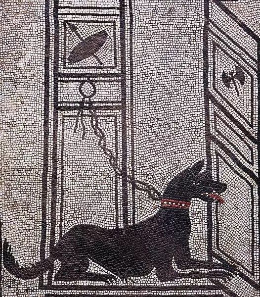 Domestication and Contribution of Dogs in the Ancient World