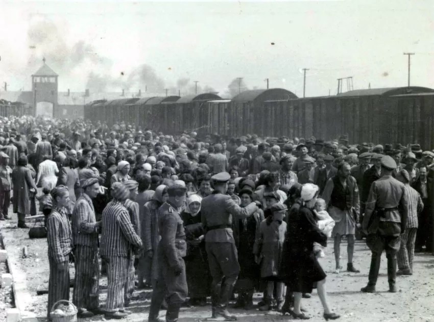 What Is a Concentration Camp? Brewminate