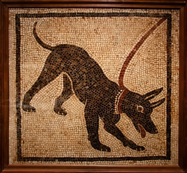 Dogs and Their Collars in Ancient Rome