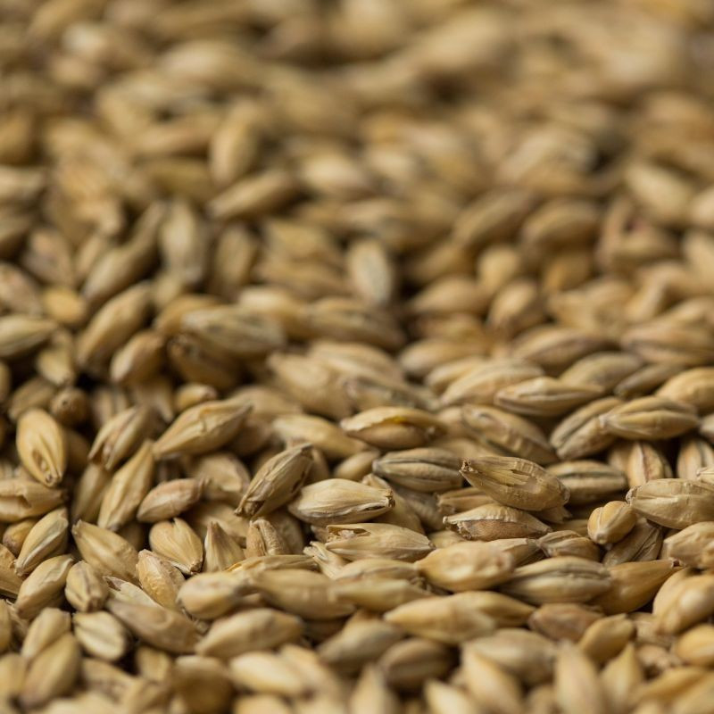 Gladfield Pilsner Malt