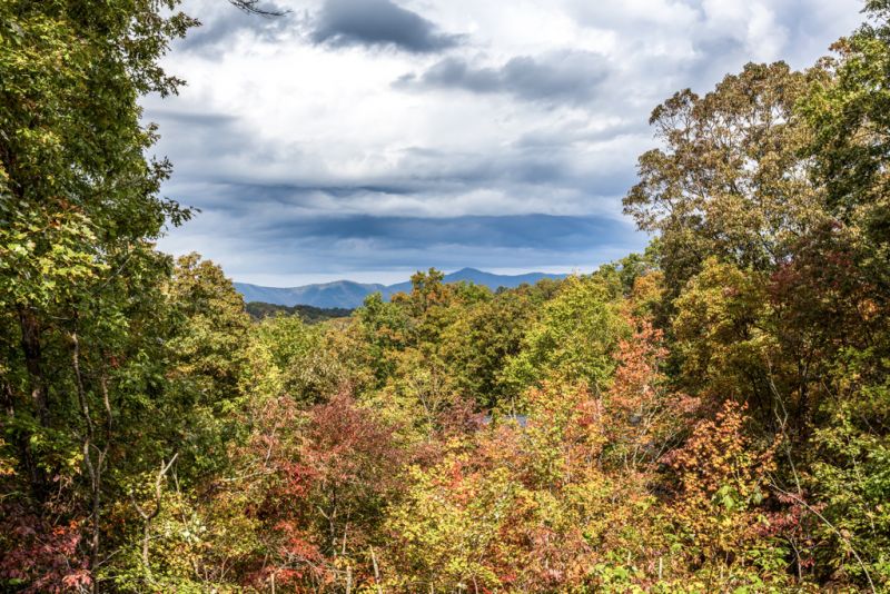 Treetops Cabin Rentals