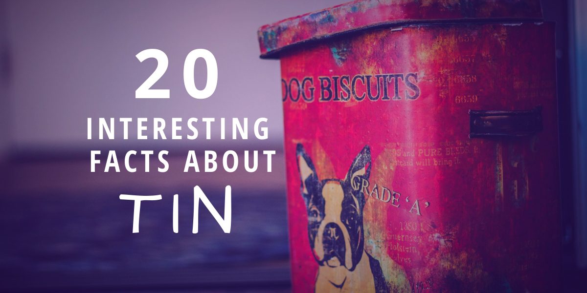 20 Interesting Facts About Tin Brian D. Colwell