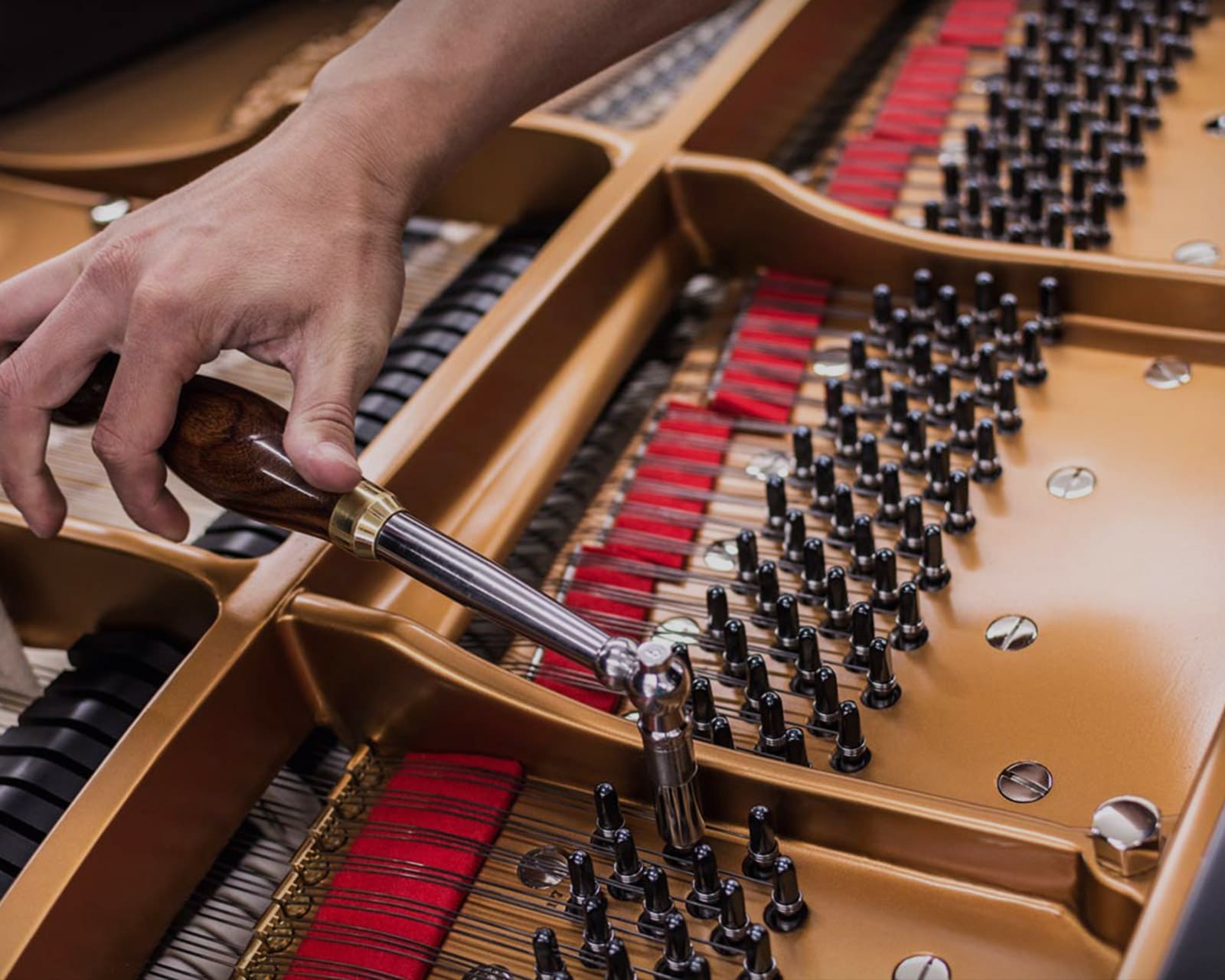 Larry's Piano Repair – Brian Galvan