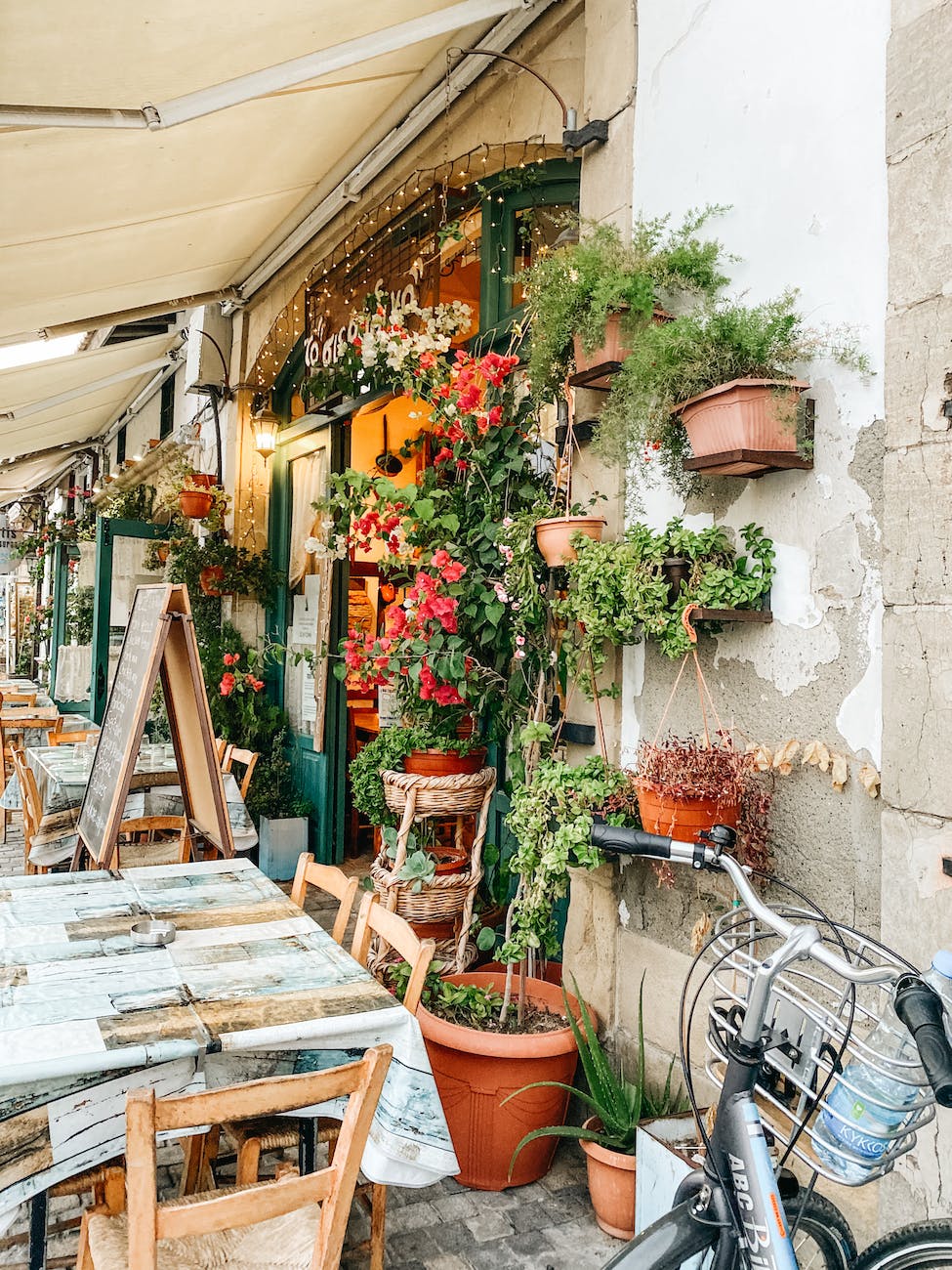 What does it mean to flourish? Brian Harris