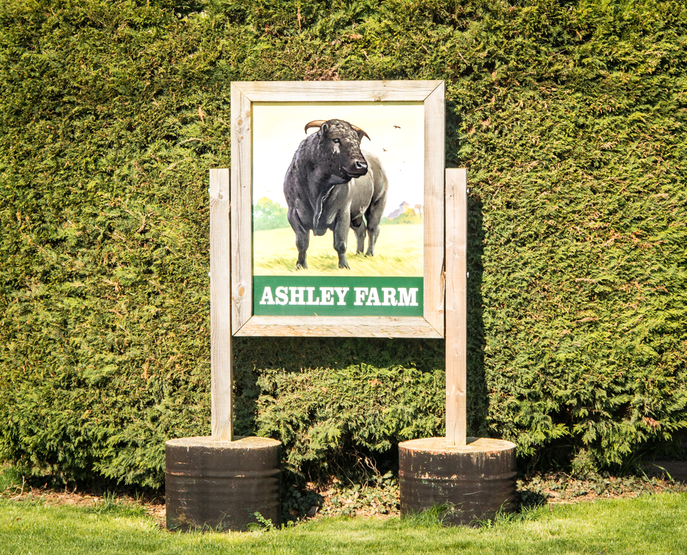 Cow Lane Brianhuman's Blog